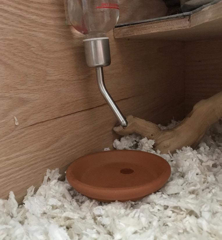 Small animal water bottle drip protector