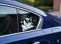 Peeking Squirtle Pokémon Sticker Cute Funny Car Decal